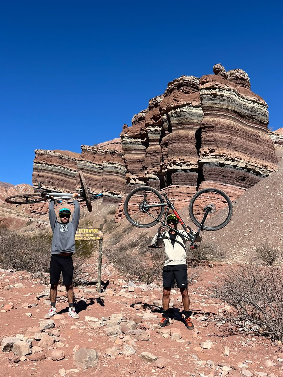 Bicis en alto