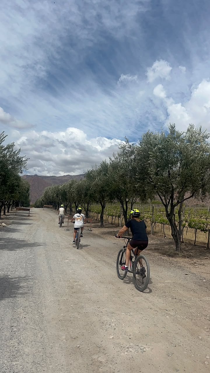 Camino de tierra entre árboles