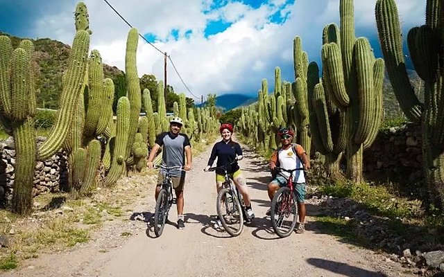 Tres ciclistas entre cardones