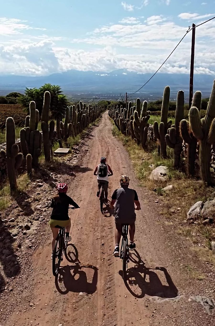 Grupo de ciclistas por un camino de tierra entre cardones